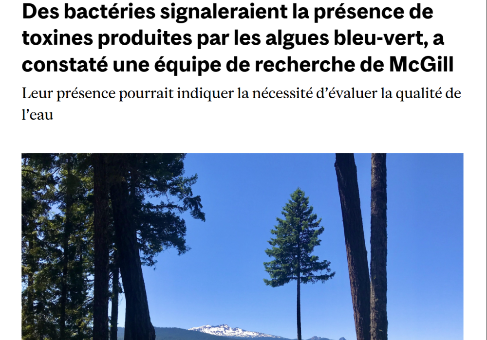 Des bact&eacute;ries signaleraient la pr&eacute;sence de toxines produites par les algues bleu-vert, a constat&eacute; une &eacute;quipe de recherche de McGill 